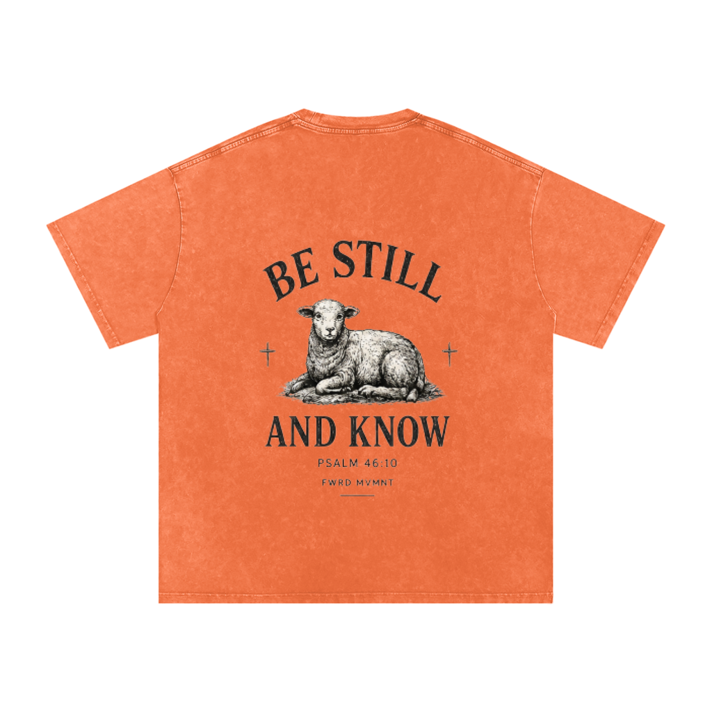 Psalm 46:10 Snow Washed Oversized Tee