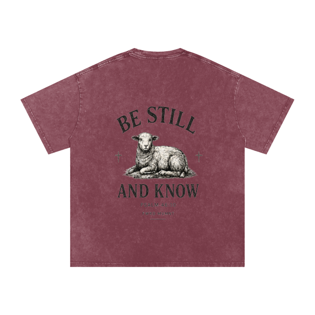 Psalm 46:10 Snow Washed Oversized Tee