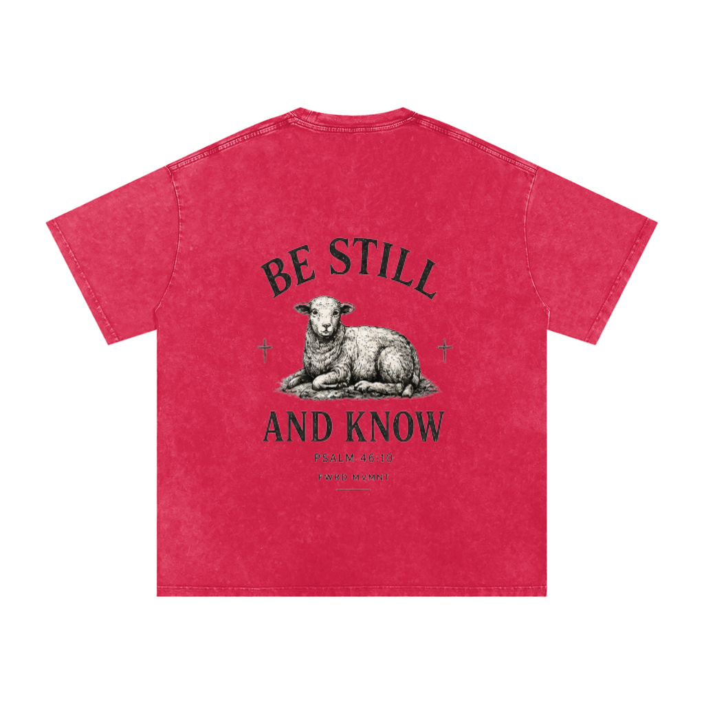 Psalm 46:10 Snow Washed Oversized Tee